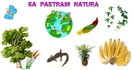 Sa Pastram Natura