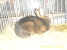 HDP_0084