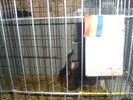 HDP_0089