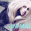 Lady-Gaga-Animal-preview-single-nou-audio+93640