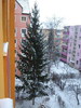DSC02035