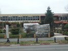 park garden