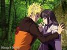 naruhinasasusaku
