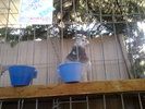 20110116018
