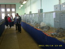 HDP_0055