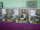 HDP_0071