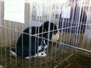 Foto3313