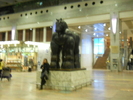 Picture 038