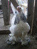 SANY0116