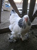 SANY0117