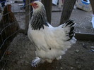 SANY0107