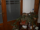 Picture 089