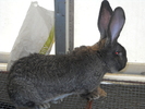 Picture 112