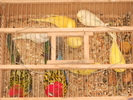 Picture 116