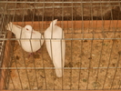 Picture 123