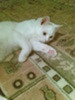 13785541_MKQEYTJUC