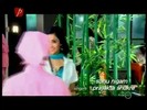 bscap0063