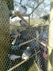 P170111_15.17_[01]
