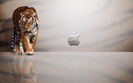 10432_Mac_Computers_6