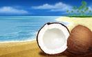 Coconut1280_800