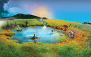 Country_wizards
