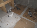 DSCN1714