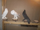 DSCN1719