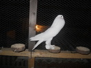 DSCN1720