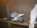 DSCN1724