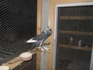 DSCN1726
