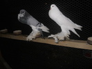 DSCN1727
