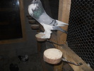 DSCN1728