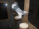 DSCN1729