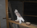 DSCN1733