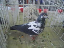 DSCN1571