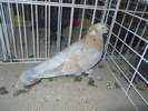 DSCN1423