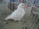 DSCN1573