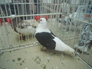 DSCN1575