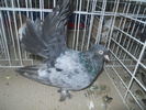 DSCN1441