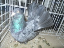 DSCN1442