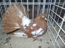 DSCN1448