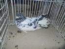 DSCN1449