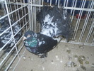 DSCN1454
