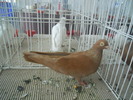 DSCN1459