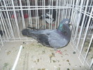 DSCN1461