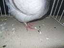 DSCN1617