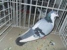 DSCN1463