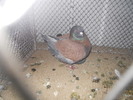 DSCN1620