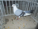 DSCN1464