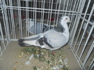 DSCN1465